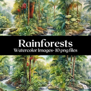 Images aquarelles de la forêt tropicale, Art numérique de la forêt tropicale, Art aquarelle de la forêt tropicale, Clipart forêt tropicale, art mural, usage commercial