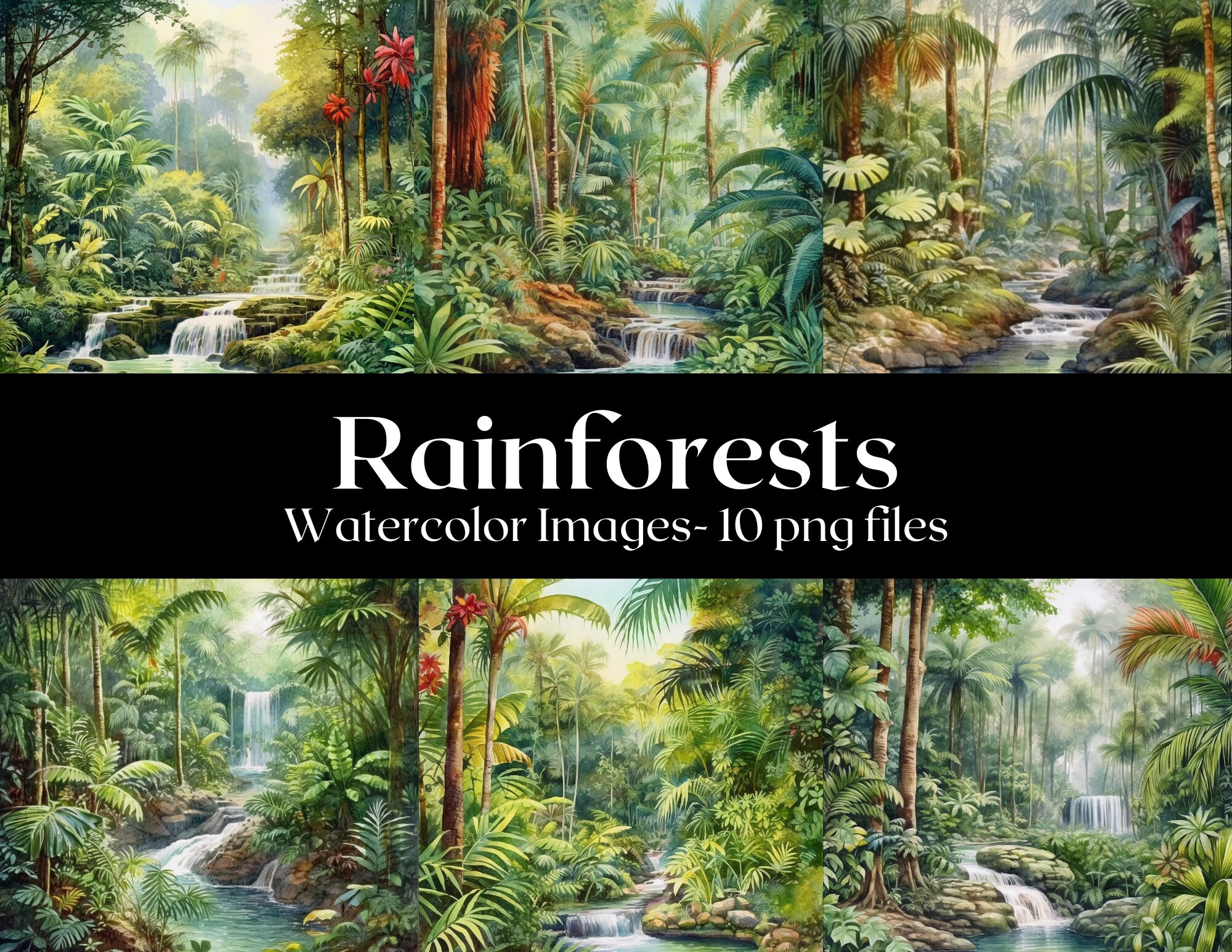 Rainforest Watercolor Images, Rainforests Digital Art, Rainforest
