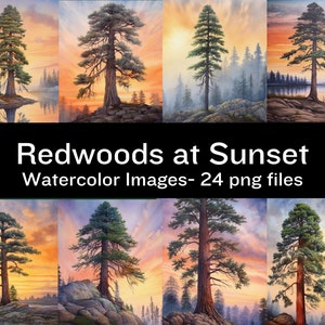 Redwood Trees at Sunset, Watercolor Digital Images, Redwoods Clipart, Tree Digital Art, Redwoods Printable, Tree Clipart, Commercial Use