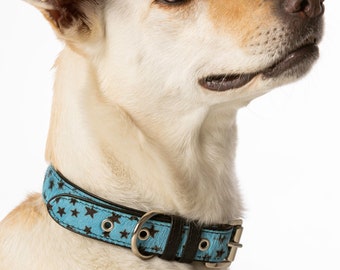 Collar para perros de cuero exclusivo - Estrellas