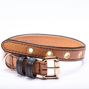 Signature dog collar - Brown Leather