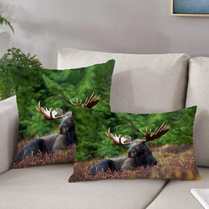 Puede incluir: Dos almohadas con un fondo de bosque verde y un alce marrón acostado con cuernos. El alce está en primer plano de la imagen.