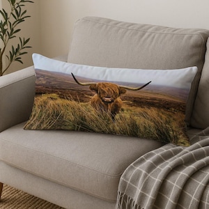 Puede incluir: Cojín rectangular decorativo con una vaca de las Tierras Altas en un campo. El cojín tiene un fondo de cielo azul claro y una combinación de colores marrón y beige. La vaca tiene cuernos largos y pelaje marrón y lanudo.