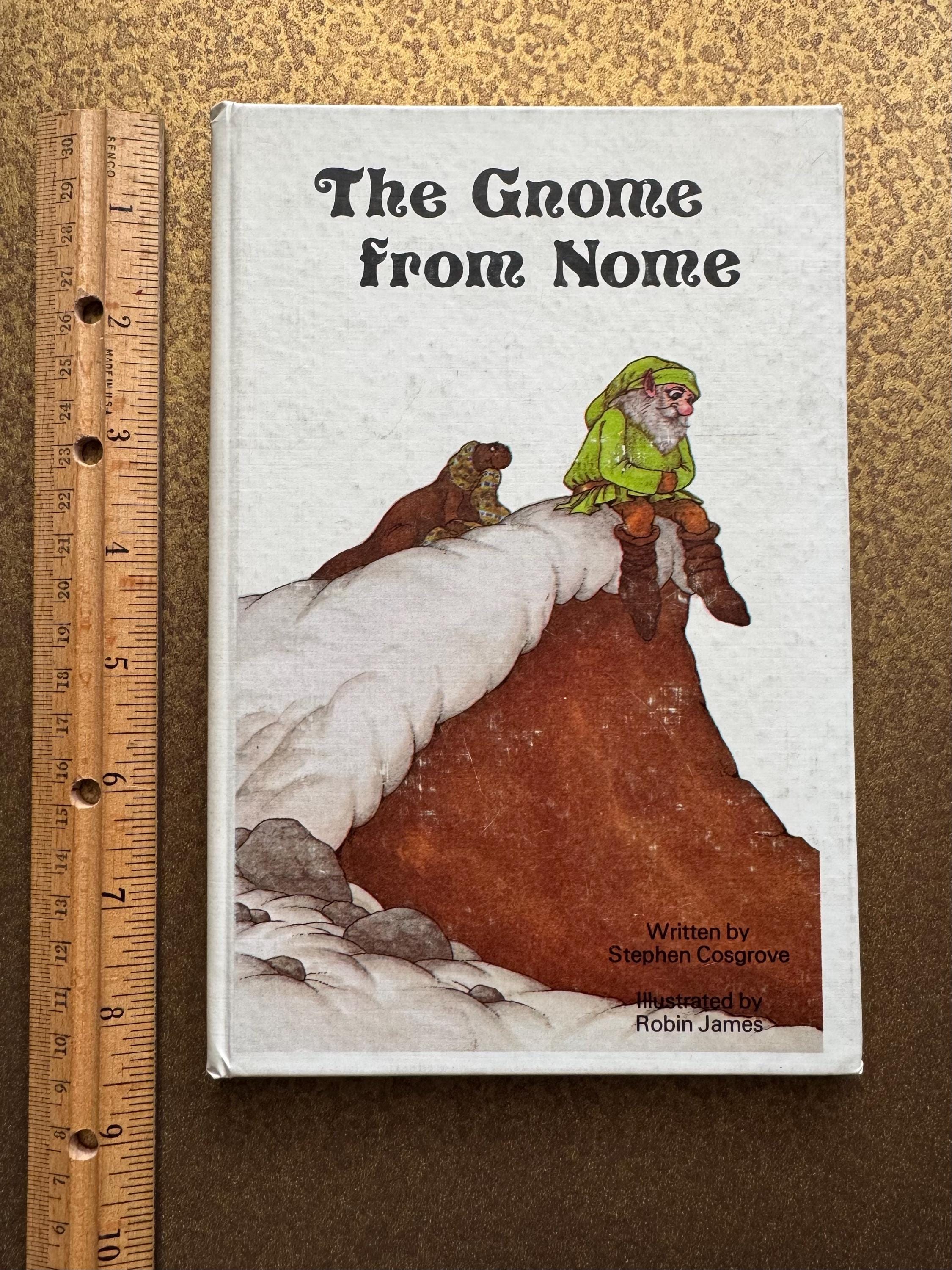 2 Copies of the Gnome From Nome - Etsy
