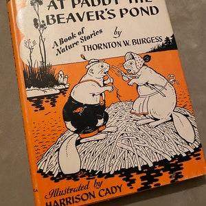 At Paddy the Beaver’s Pond