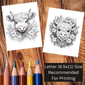 100 Cute Baby Highland Cows Coloring Page Book, Adults Kids, Cow