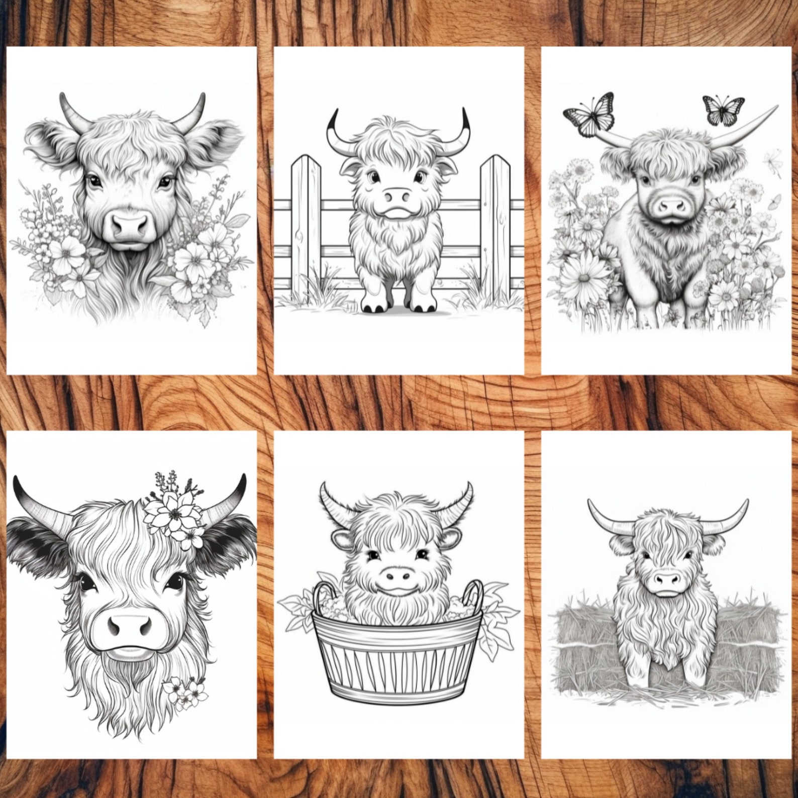 100 Cute Baby Highland Cows Coloring Page Book, Adults Kids, Cow