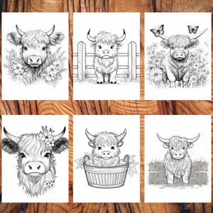 100 Cute Baby Highland Cows Coloring Page Book, Adults + Kids, Cow