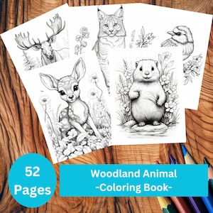 52 かわいい森の動物ぬり絵ページブック、大人 + 子供、印刷可能な PDF、ヘラジカ、リス、キツネ、クマ、アライグマ、オオヤマネコ、ビーバー、+ その他のページ