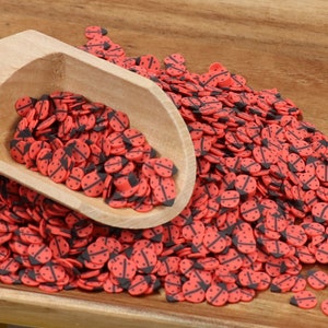 May include: A wooden scoop filled with red and black ladybug sprinkles. The sprinkles are scattered on a wooden surface.