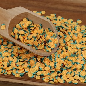 Pineapple Clay Slices, Polymer Clay Slices, Polymer Slices, Fruit Slices, Decoden, Slime Supplies