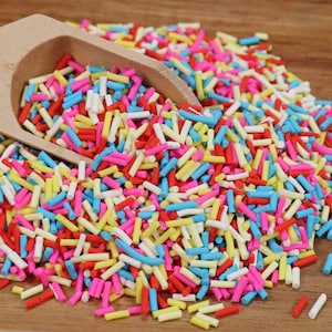 Rainbow Mix Clay Sprinkles, Fake Sprinkles, Polymer Sprinkles,, Sprinkle Toppings, Decoden, Rainbow Sprinkles, Slime Supplies