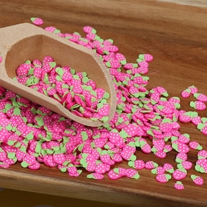 Clay Slices, Polymer Clay Slices, Polymer Slices, Fruit Slices, Decoden, Slime Supplies