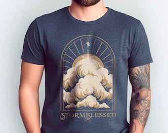 Stormlight archive shirt, Stormblessed t shirt, way of kings t shirt, brandon sanderson fan gift, cosmere clothing, Kaladin stormblessed tee