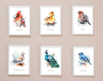6 Bird Digital Printables | Peacock | Bluebird | Cardinal | Duckling | Mourning Dove | Digital Printables | Baby Nursery Printables