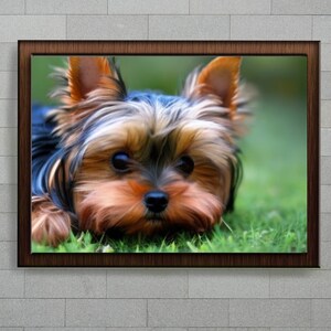 Adorable Yorkie Digital Dog Print Yorkshire Terrier Dog Wall Art Digital Dog Wall Decor Dog Portrait Pet Portrait Dog JPG PNG Canvas Print