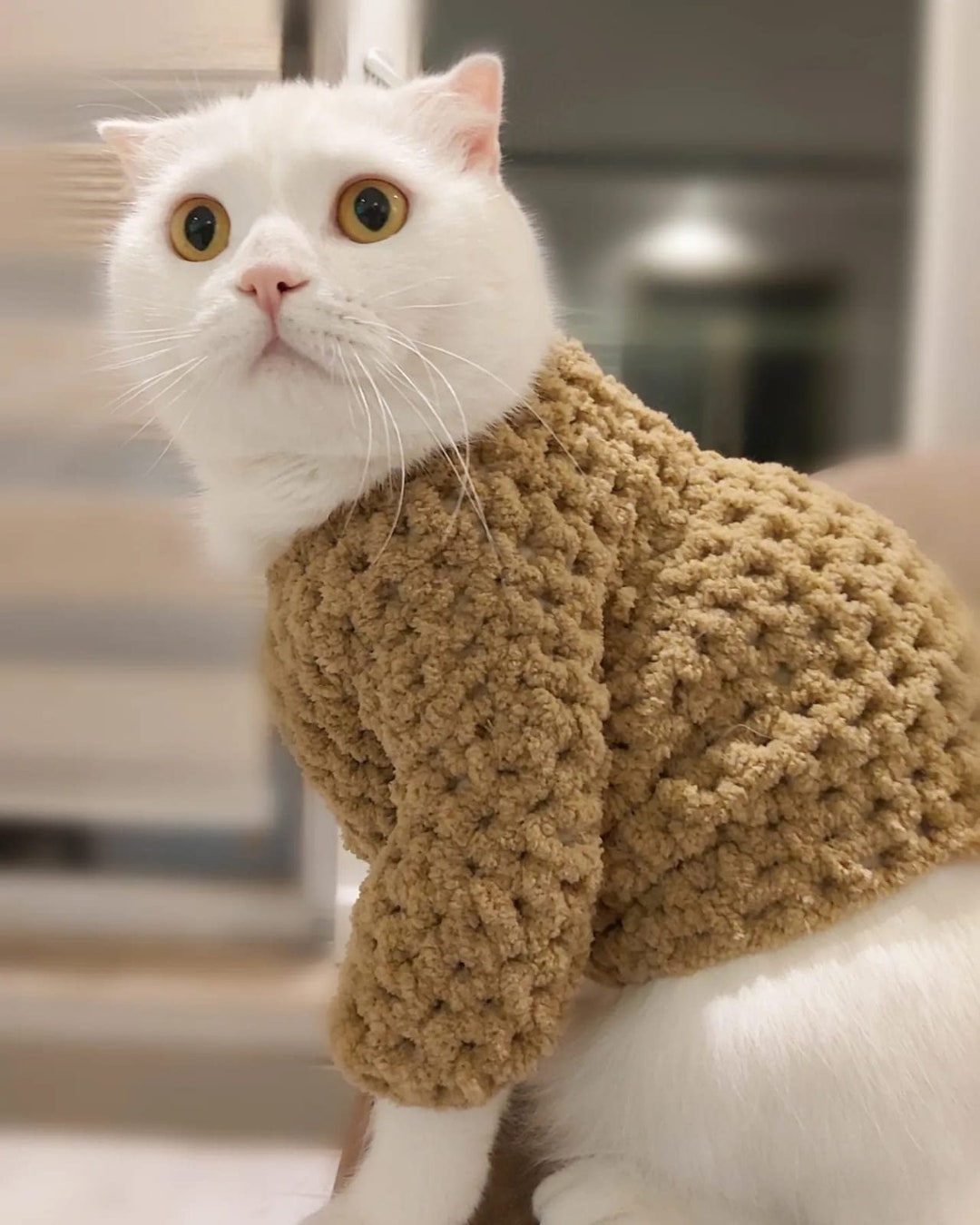 Winter Wool Cat Sweater Knit Cat Sweater Warm Cat Clothes Etsy
