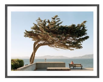 San Francisco Photograph Crissy Filed Print High Quality Paper Print from Local Artist San Francisco Bay Area Vintage Nostalgic Print