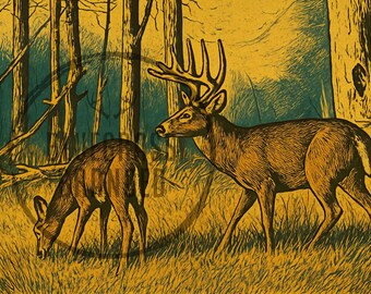 Whitetail Buck and Doe PNG Digital File only