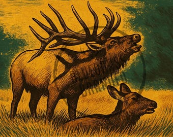 Bull Elk With Cow Elk PNG Digital File only
