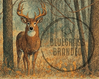 Whitetail Buck Standing In Forest PNG Digital File only