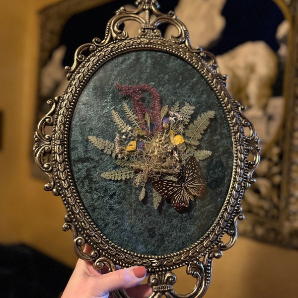 St. Helens Part 1: Preserved butterfly with pressed flowers displayed inside an antique ornate bubble glass frame.
