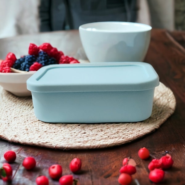 Virtually indestructible  silicone bento box, made from recycled plastic