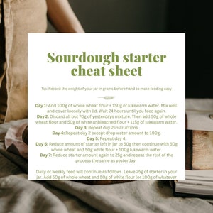 Beginner&#39;s guide to a sourdough starter | How to start and maintain guide