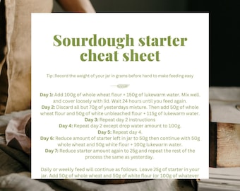 Beginner's guide to a sourdough starter | How to start and maintain guide