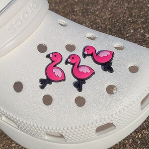 Mens flamingo cheap crocs