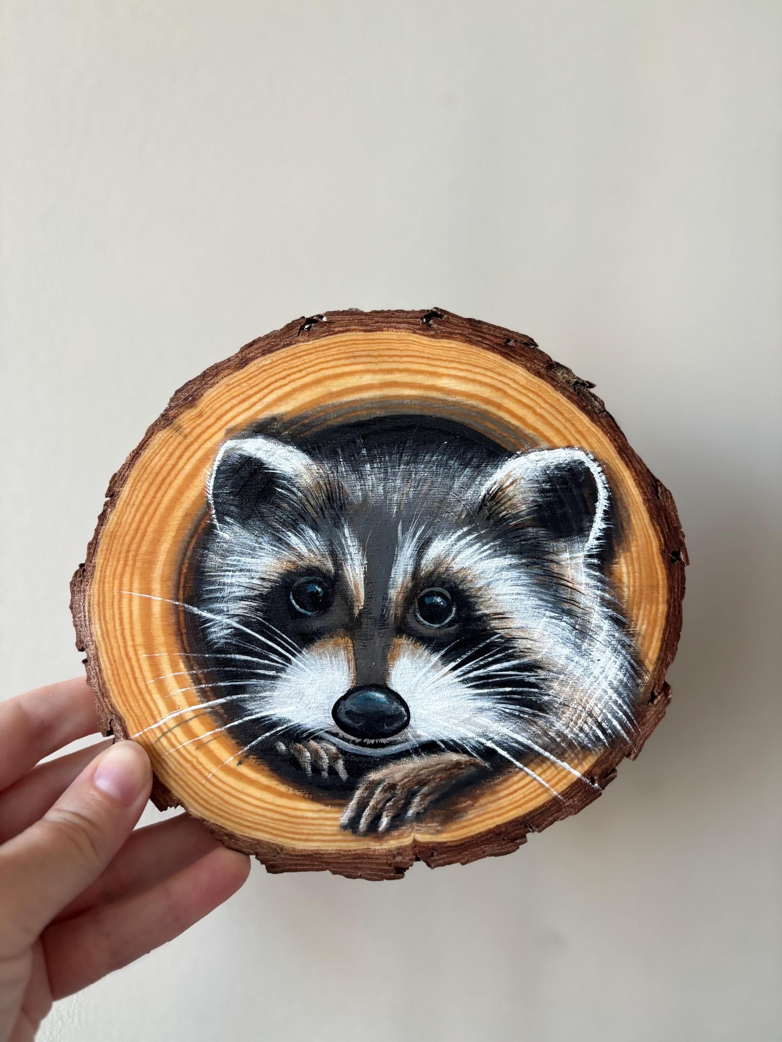 Hand-painted Raccoon Wood Slice: Woodland Animal Wall Art (6 Inch) - Etsy