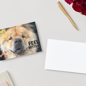 May include: A get well soon card featuring a close-up of a brown and white Chow Chow dog with the text "Hope you feel better".
