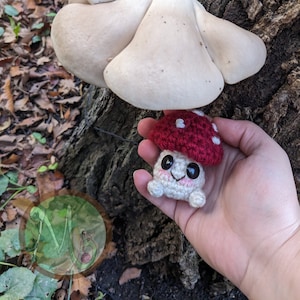 Pilz Schlüsselanhänger, gehäkelter Schlüsselanhänger, niedlicher Schlüsselanhänger, Plüsch Schlüsselanhänger, gehäkelter Schlüsselanhänger, häkeln, Schlüsselring, Pilz, Cottage Core, Plüsch Pilz