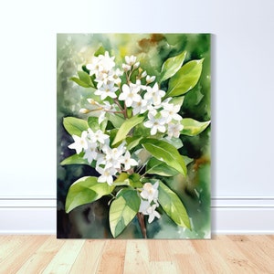 Sampaguita Bloom Canvas Art Print, Philippines Art, Watercolor, Sampaguita Art, Filipino Art, Filipino, Philippines Gift, Flowers, Pinoy