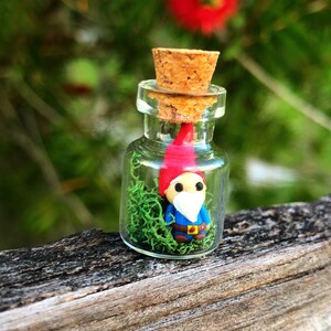 May include: A small glass bottle with a cork stopper contains a miniature gnome figurine with a red hat, blue shirt, and white beard. The gnome is surrounded by green moss.