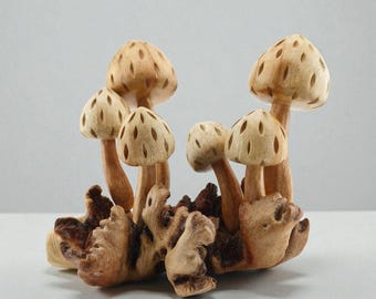 May include: A wooden sculpture of several mushrooms with perforated caps and brown stems, clustered on a textured wooden base. The mushrooms vary in size and are carved with detail, showcasing a natural, earthy aesthetic.
