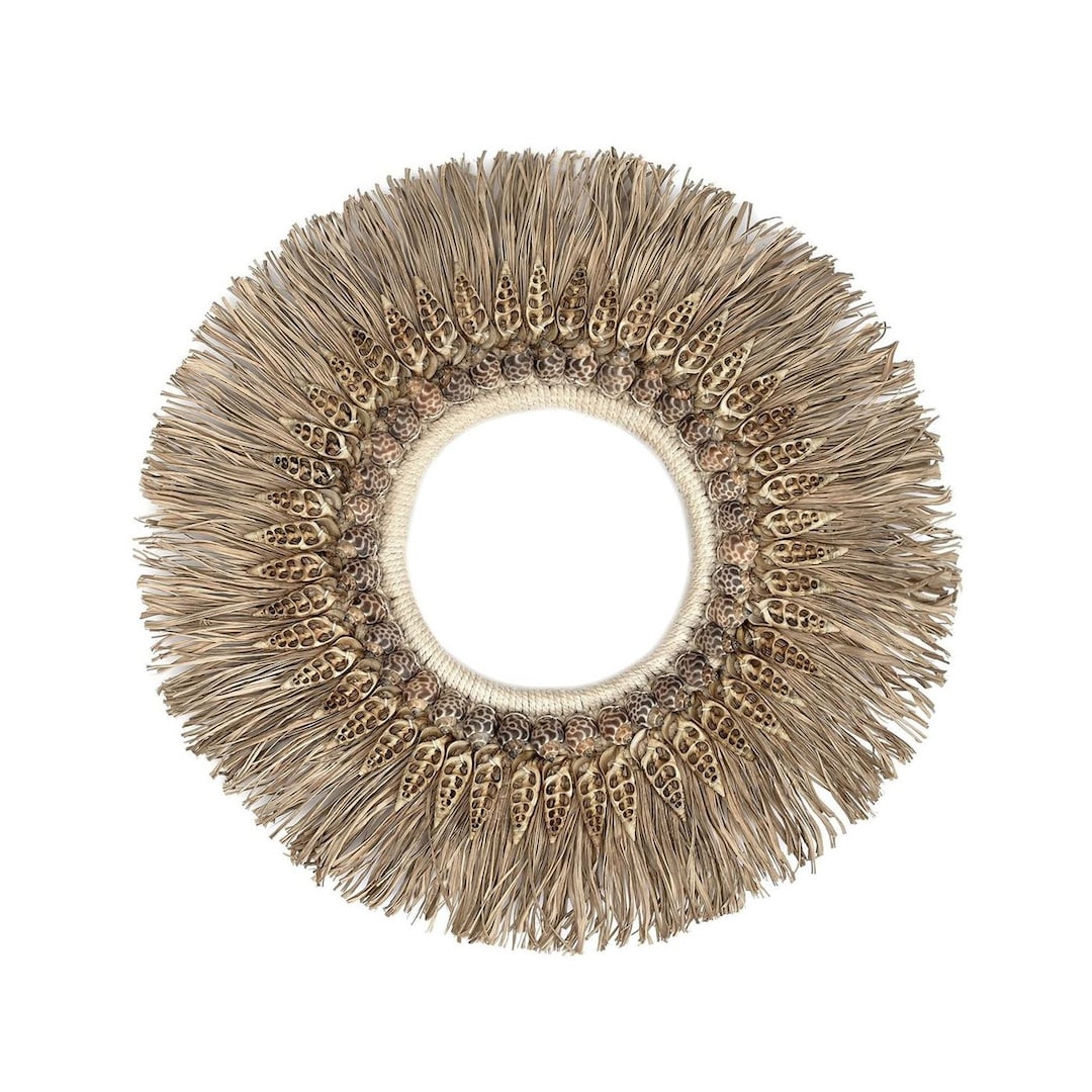 Lestarie Muschel 12cm Dekoration, verschiedene Muscheln Wanddekoration