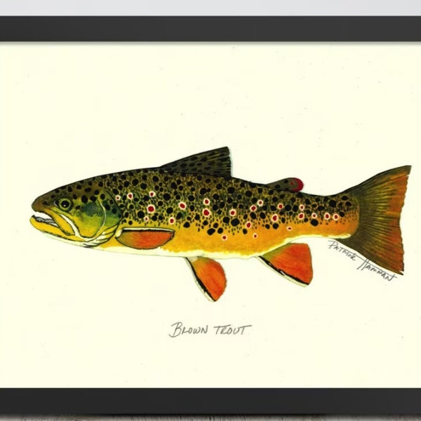 Brown Trout digital Art Prints, Trout Print, Fly Fishing Prints, Fly Fishing Art, Trout Art, downloadable, Fishing prints. Fishing art