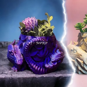 Sleeping Dragon Planter | Medieval Vase | Goth Flower Pot, Drainage Holes, Cottagecore, Beautiful Cacti Succulent Bowl, Middle Ages, Lizard