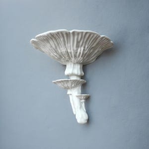 Estante decorativo de hongos / Hongo Amanita / Exhibición flotante / Montaje en pared / Decoración colgante, Baño, Entrada, Hogar, Oficina, Dormitorio, Mágico