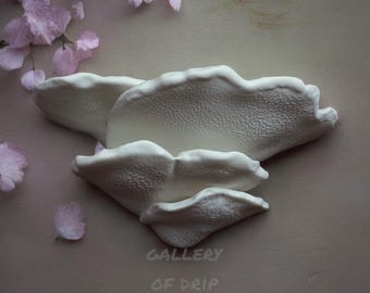 Decorative Mushroom Shelf | Gibbosa Fungus | Floating Display | Wall Mount | Hanging Decor, Bathroom, Entryway, Home, Office, Bedroom, Magic