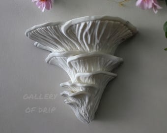 Decorative Mushroom Shelf | Djamor Fungus | Floating Display | Wall Mount | Hanging Decor, Bathroom, Entryway, Home, Office, Bedroom, Magic