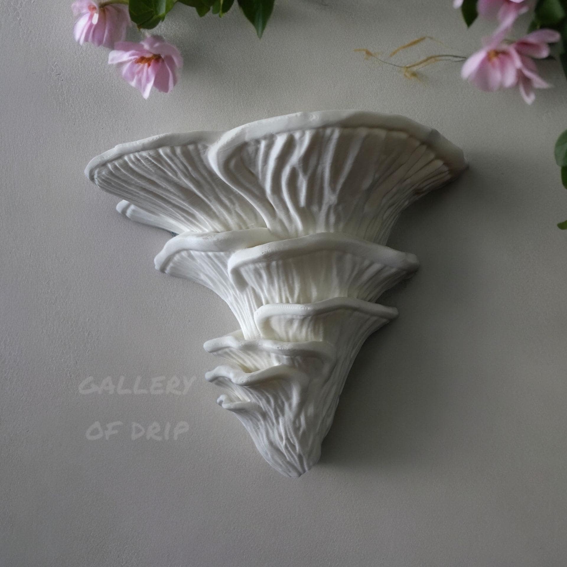 Decorative Mushroom Shelf | Djamor Fungus | Floating Display | Wall ...