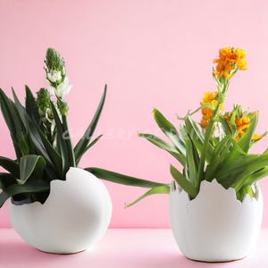 May include: Two white ceramic egg-shaped planters with cracked edges, one with a white flower and green leaves, the other with yellow flowers and green leaves.