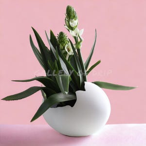 May include: White flowers with green leaves growing in a white egg-shaped planter against a pink background.