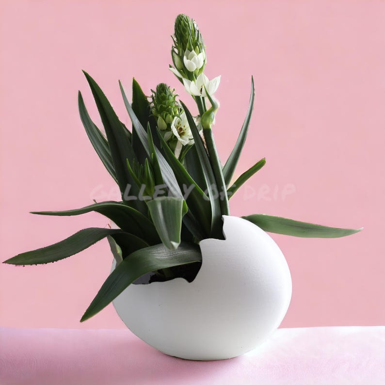 May include: White flowers with green leaves growing in a white egg-shaped planter against a pink background.