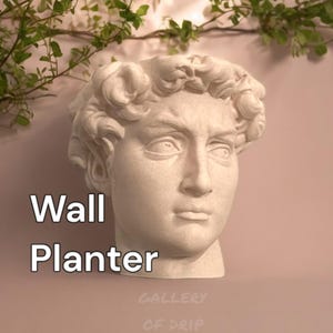 May include: White plaster wall planter shaped like a bust of a man's head. The planter has a rough, textured surface. The text "Wall Planter" is written in black on a white background below the planter. The text "GALLERY OF DRIP" is written in white on a light brown background below the planter.