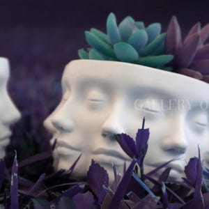 May include: White ceramic planter with four faces, each with closed eyes. The planter is filled with a green succulent plant and a purple succulent plant. The text "GALLERY OF DRIP" is visible on the planter.
