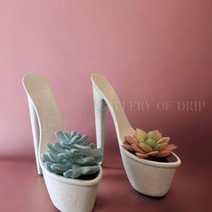 May include: Two white high-heeled shoes with a platform base, each with a different colored succulent plant inside. The shoes are on a pink background.