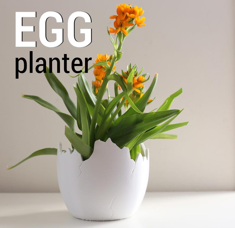 May include: A white egg-shaped planter with a cracked design, filled with a green plant with orange flowers. The text "EGG planter" is written in black letters above the planter.